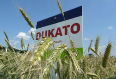DUKATO